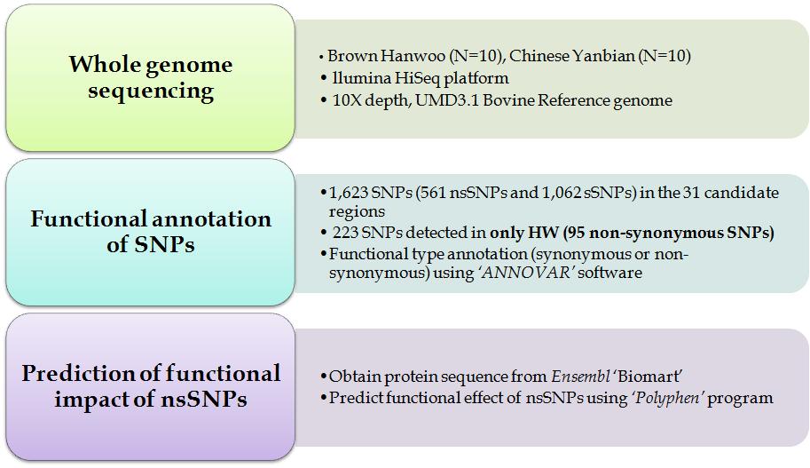 Detection of sequence variation in the 31 candidate regions using NGS Data