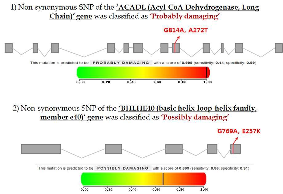 The functional impact of nsSNPs