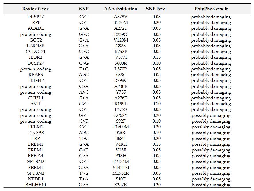 Summary data for 31 nsSNPs predicted to impact protein function