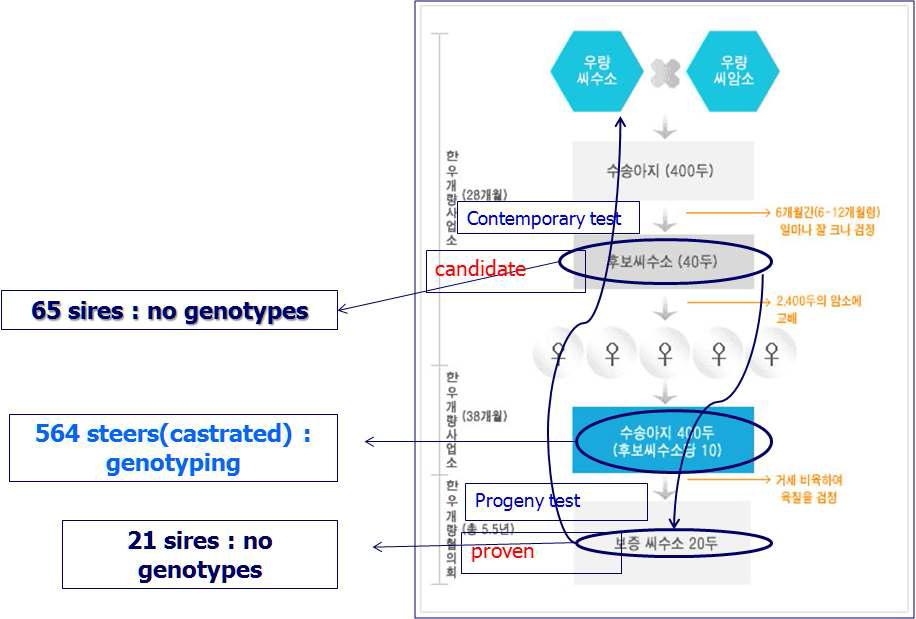 Individual resources of Hanwoo for this analysis