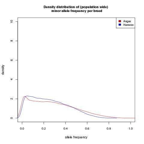 Density of minor allele frequency each breed