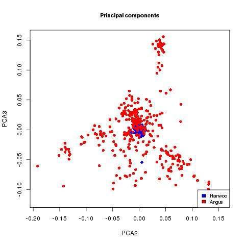 PCA2 × PCA3 of the GRM