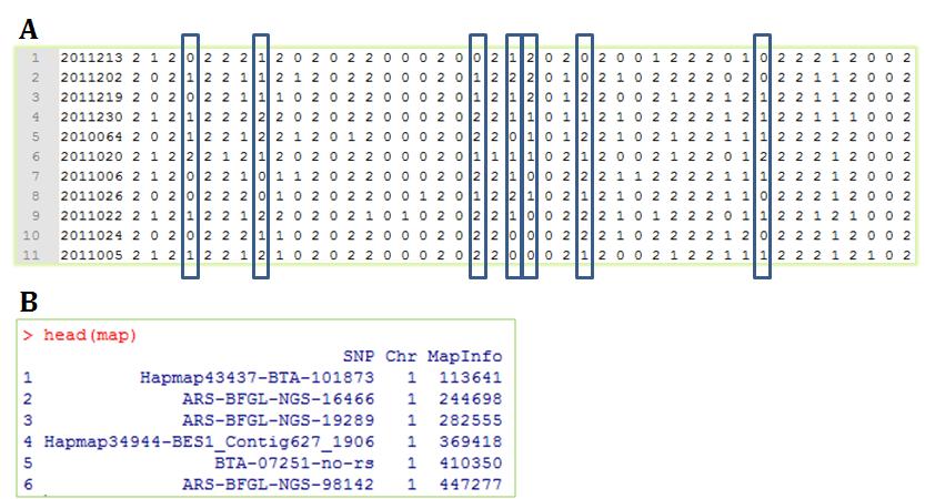 A part of input data format to run HSPhase program