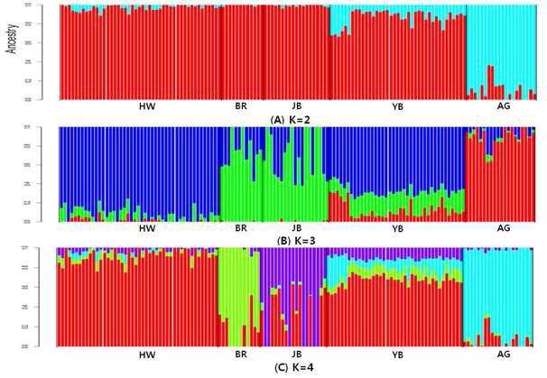 Unsupervised hierarchical clustering results of the individuals genotyped for 38,404 SNPs with an inferred number of clusters K = 2 (a), K = 3 (b) and K = 4 (c).