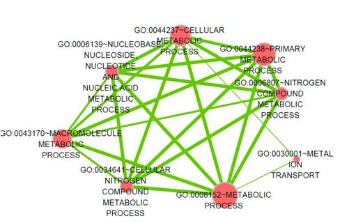 Network of functional terms of candidate genes from HW vs. BR