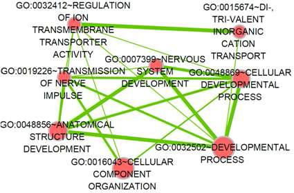 Network of functional terms of candidate genes from HW vs. JB