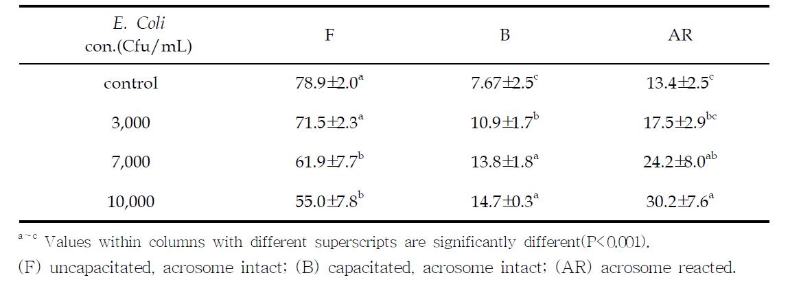Effects of E. Coli contamination in boar semen on acrosomal integrity