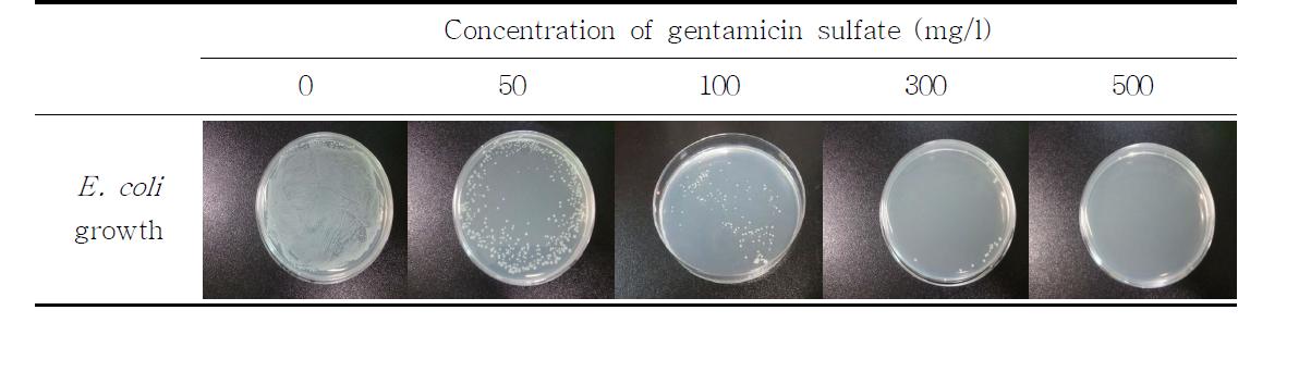 Effect of concentration of gentamicin supplementation on bacteria growth