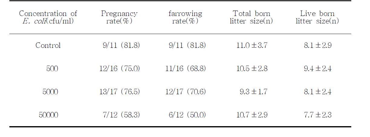 Fertility assay after artificial insemination with E. coli contamination semen