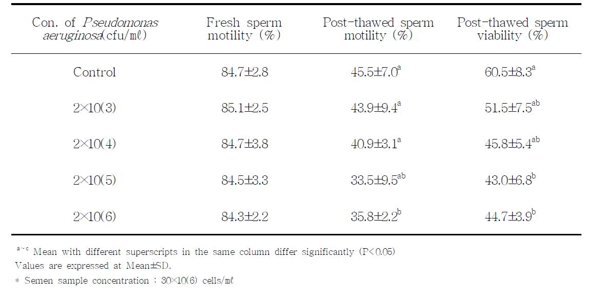 Effect of contamination of Pseudomonas aeruginosaon post-thawed sperm motility and viability of cryopreserved boar semen
