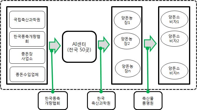 돼지 모돈의 유통과정