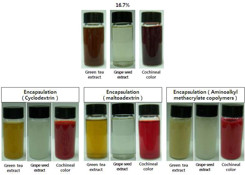 자몽종자추출물, 녹차추출물 코치닐색소 용액과 다양한 피복물질을 이용하여 미세캡슐화한 용액외형