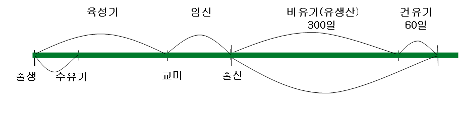 유산양의 일생