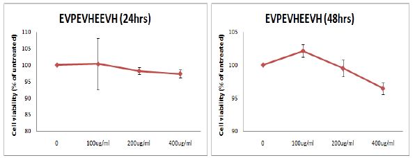 T.peptide (EVPEVHEEVH)를 24, 48시간 처리했을 때의 세포 생존율