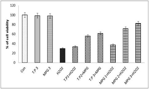 H2O2를 유발한 C2C12 세포 사멸에 있어 T.peptide와 MPG peptide의 영향