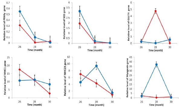 The interaction between age and treatments on adipogenic and myogenic gene expression of Hanwoo steers