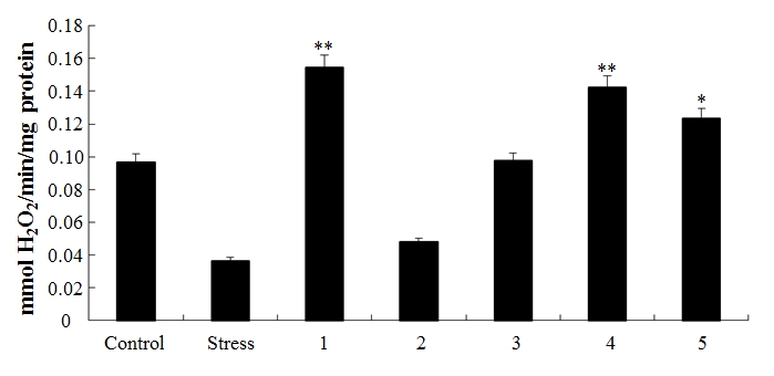 Catalase (CAT) activity in liver of rat supplemented with medicinal herbs