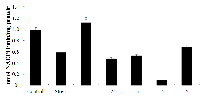 Glutathione peroxidase (GPx) activity in liver of rat supplemented with medicinal herbs