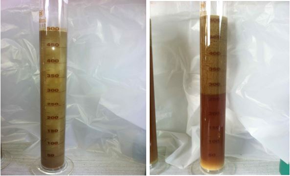 Cow B (5hr post-feeding) ---> Cow B (30min later) 최저 pH 5.72 / 최고 pH 6.07