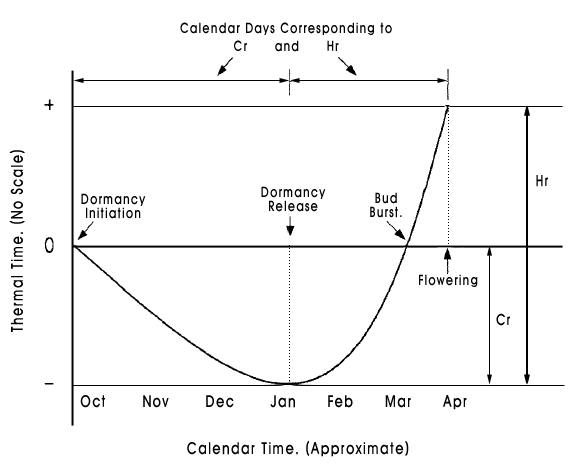 Cesaraccio et al. (2004) 생물계절모형의 chill day / anti-chill day 누적값을 나타낸 모식도(Jung et al., 2005). Cr은 온대과수 꽃눈의 휴면해제를 위한 저온요구도를, |Hr|은 만개를 위한 고온요구도를 의미함