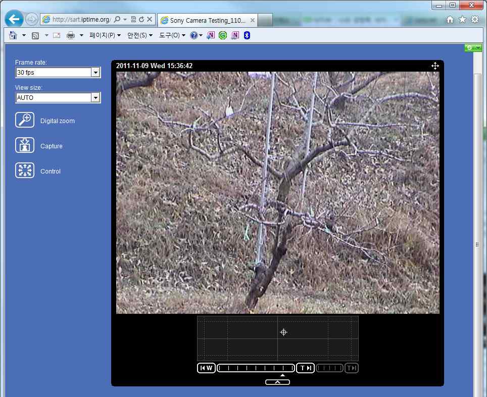 영상전송장치에서 자동으로 촬영하여 웹으로 표출된 화면