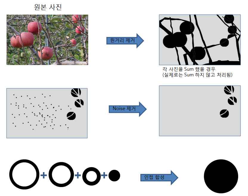 선택 과수 분리 이론2