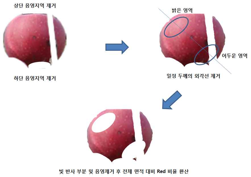 적색 색상분석