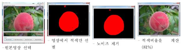 촬영영상의 색상 분석 과정(과실에 상처가 있는 경우)