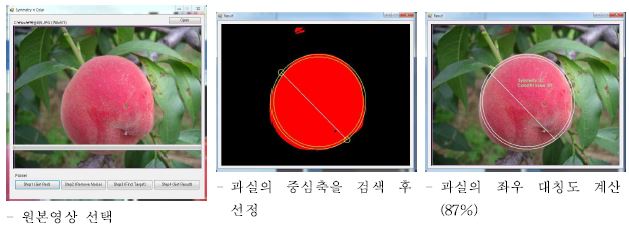 촬영영상의 대칭도 분석 과정(과실에 상처가 있는 경우)