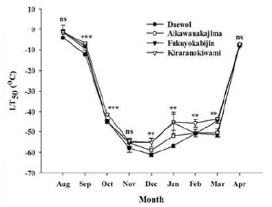 LT50값을 이용한 ‘대월’, ‘아이카와나카지마’, ‘후쿠요카비진’, ‘키라라노키와미’의 시기별 내한성 변화.