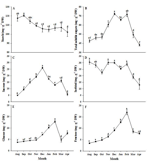 ‘대월’의 시기별 시기별 전분(A), 총가용성당(B), 자당(C), 솔비톨(D), 포도당(E), 과당(F) 함량 변화.