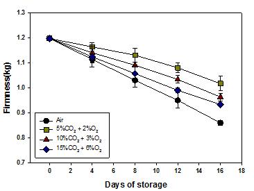 Firmness affected by CA storage (8℃) in peaches ‘Changhoweon Hwangdo’ for 16 days. Bars show standard deviation.