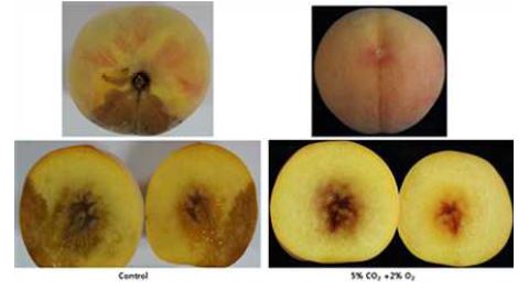 Effect of CA storage on overall appearance of peaches ‘Changhoweon Hwangdo’ during cold storage at (8℃) for 16 days.