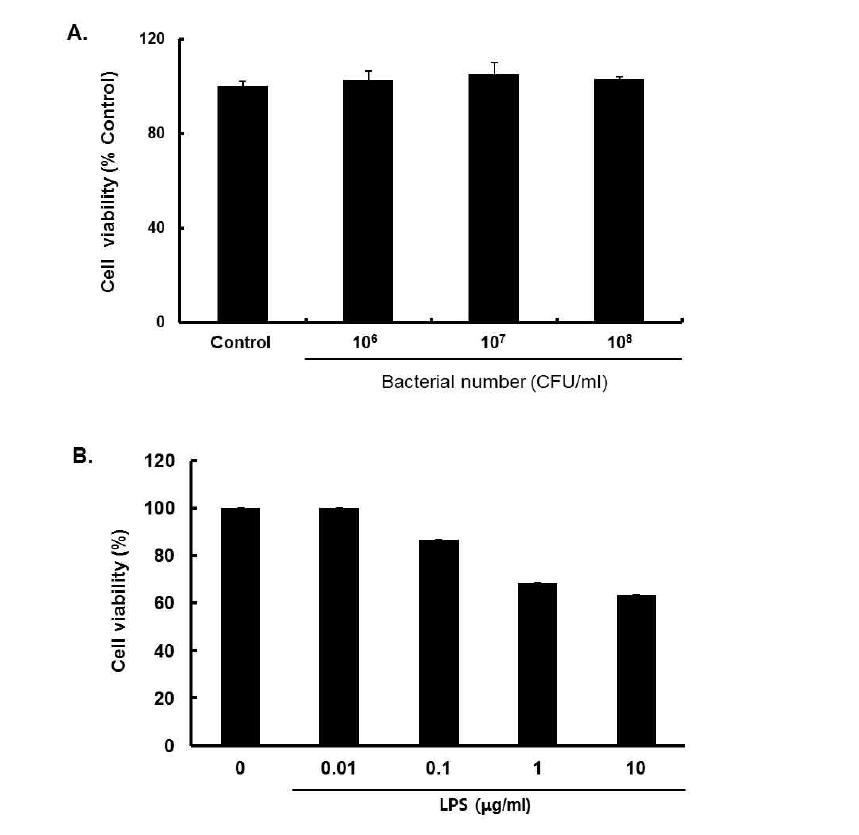 Effects of Leu. mesenteroide Wikim009(A) and LPS(B) on cell viabilities.