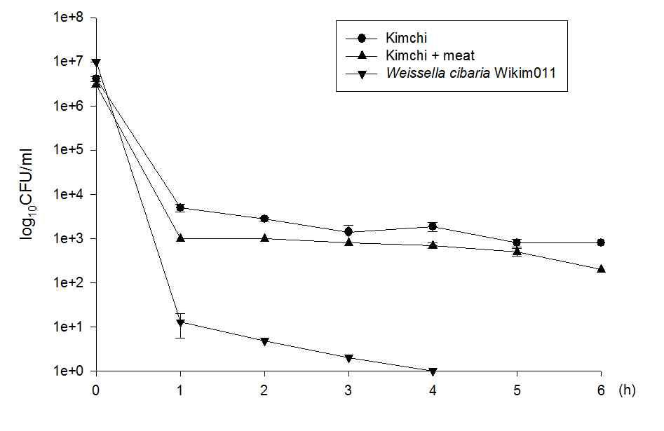 김치, 김치 + meat 및 김치로부터 분리한 Weissella cibaria Wikim011의 in vitro 장모델 적용에 따른 각 시료의 유산균 생존율 비교