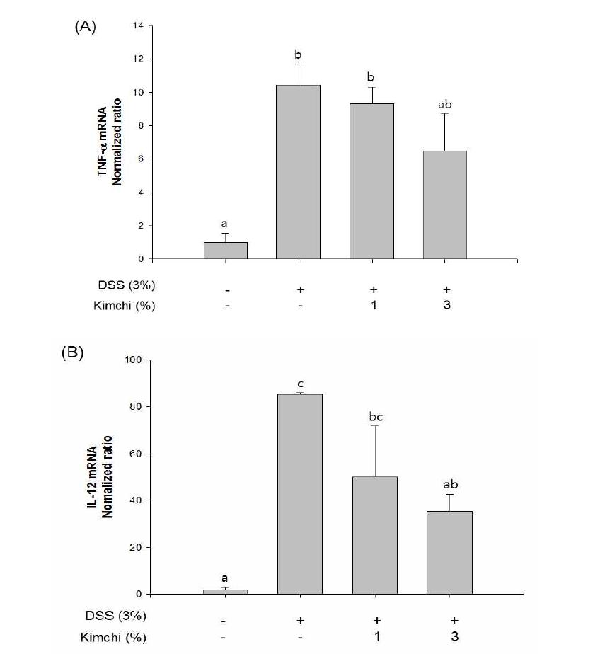 Effect of administration of 1%, 3% kimchi on TNF-α(A) and IL-12(B) mRNA　expression of DSS-treated mice.