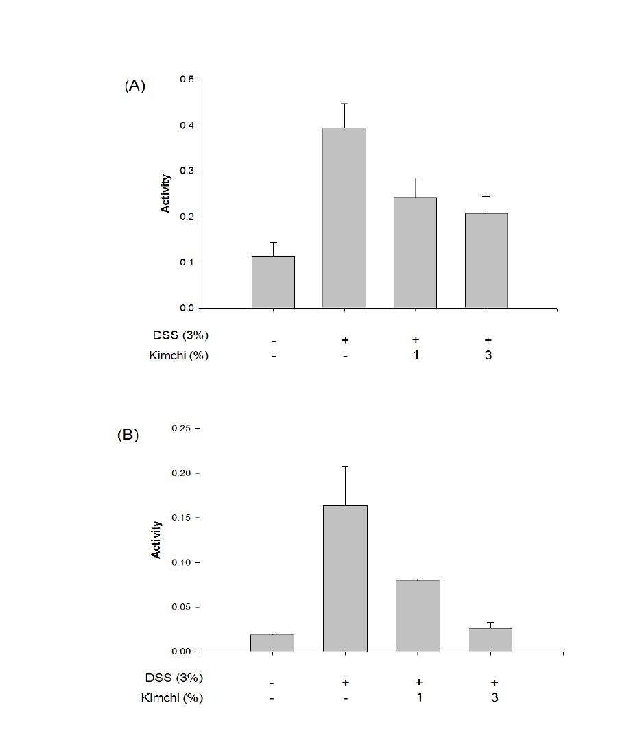 Effect of kimchi of β-glucosidase (A) and β-glucuronidase activities (B) of intestinal microflora of DSS-induced colitis mice.