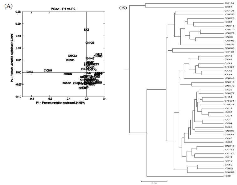 그룹별 분변샘플에서의 미생물 군집간 및 주좌표분석(A) 및 계층적 군집화(B)