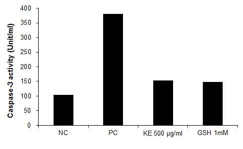 Kimchi methanol extracts (KME) inhibit caspase-3 activity in macrophage RAW264.7 cell.