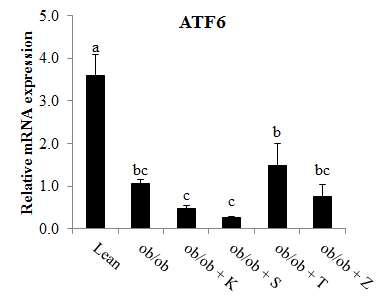 ATF6 mRNA expression of mice fed pickled vegetable foods of the world for 12 weeks.