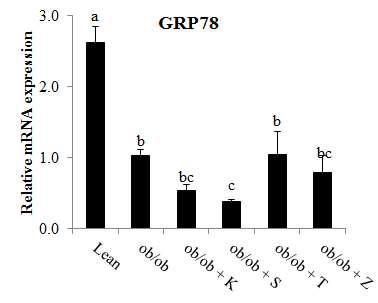 GRP78 mRNA expression of mice fed pickled vegetable foods of the world for 12 weeks.