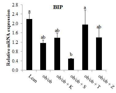 BIP mRNA expression of mice fed pickled vegetable foods of the world for 12 weeks.