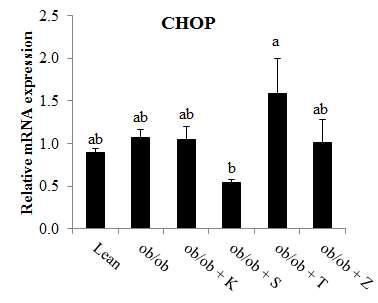 CHOP mRNA expression of mice fed pickled vegetable foods of the world for 12 weeks.