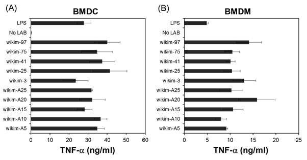 Enhanced TNF-α production by BMDCs (A) and BMDMs (B) in response to heat-killed kimchi LAB or lipopolysaccharide