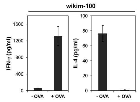 IFN-γ and IL-4 production by OVA-sensitized splenocytes in response to wikim-100 isolated from kimchi.