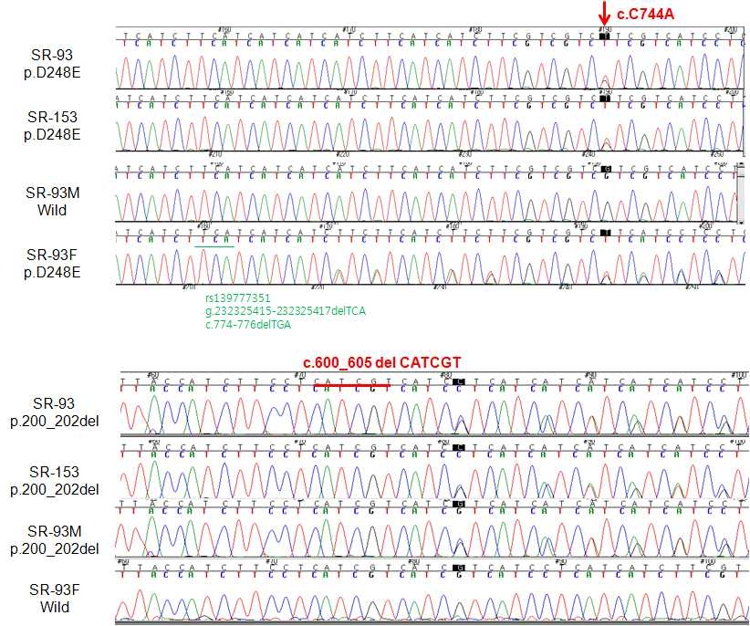 Confirmation of NCL variants in the SR-153 family by capillary sequencing