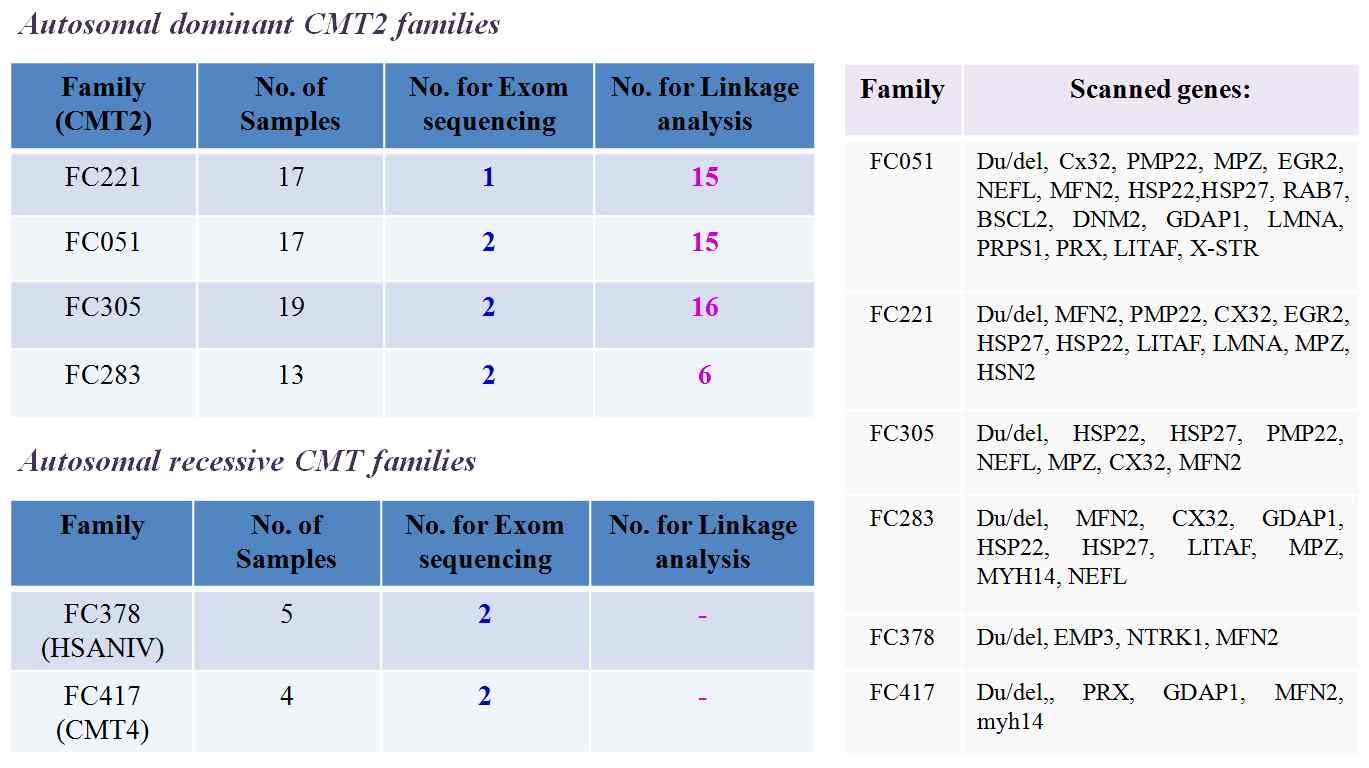 Exome sequencing을 수행한 HMSN 질환 가족 및 가족별 scanned genes