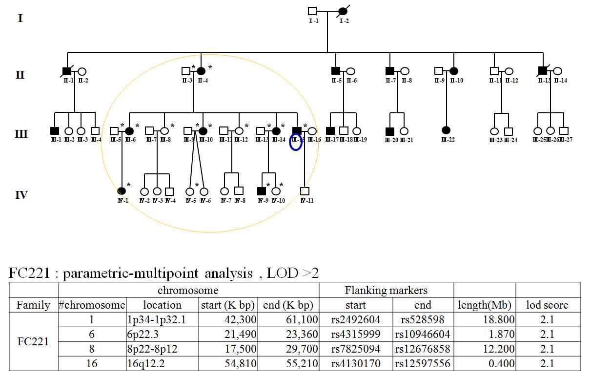 FC221 가족의 pedigree 정보 및 linkage 분석 결과