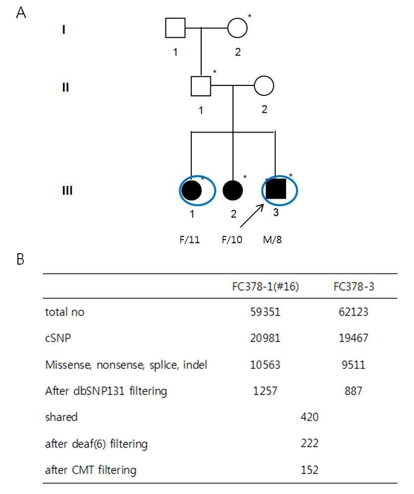 FC378 가족의 pedigree(A), filtering 과정(B)