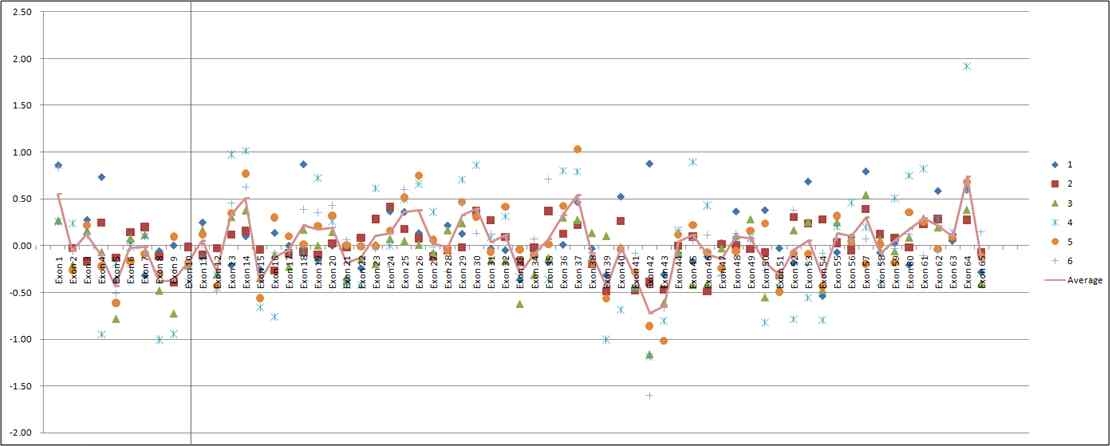 Exome CNV analysis of the MYO15A gene